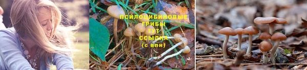 мефедрон VHQ Заводоуковск
