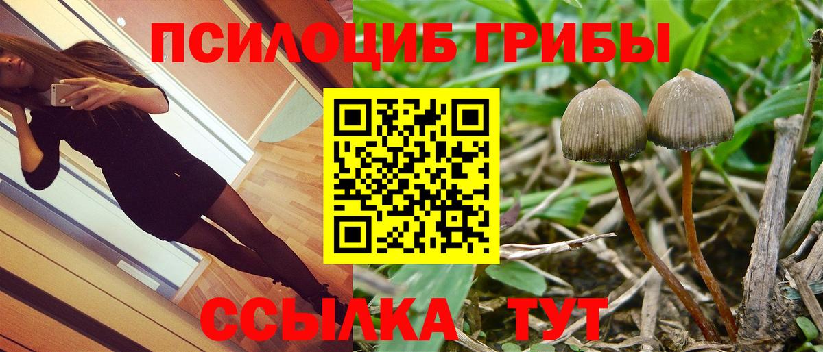 Галлюциногенные грибы MAGIC MUSHROOMS  хочу наркоту  Кувандык  Вход с VPN 