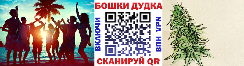 Канабис планчик  Кувандык 